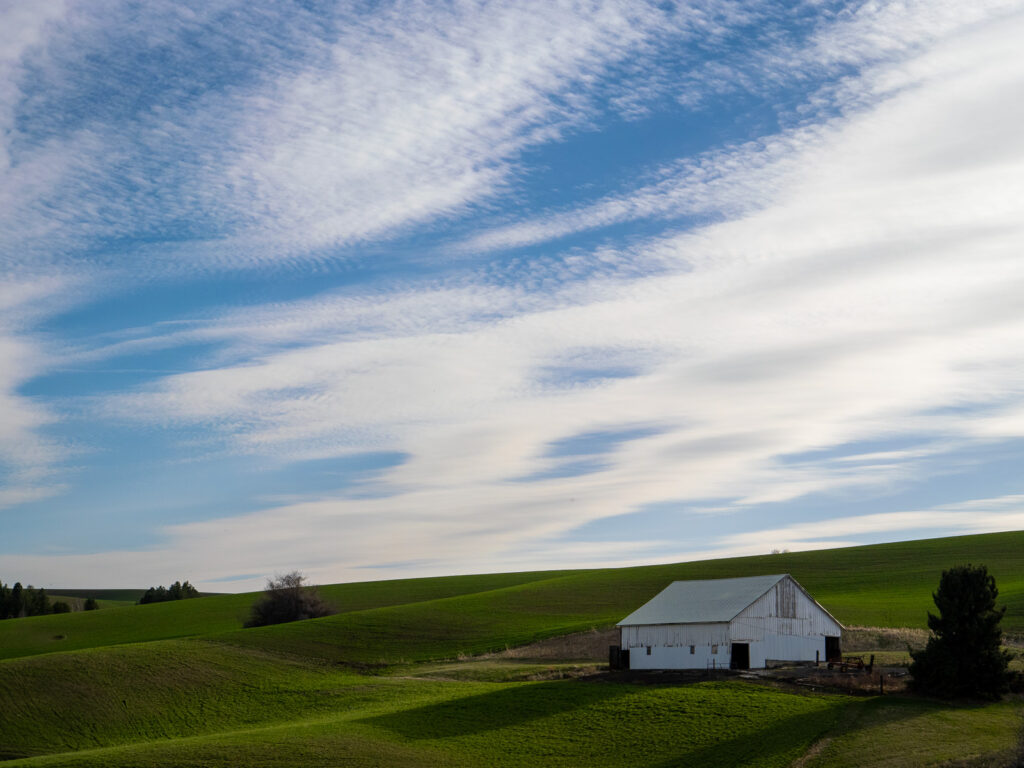 Palouse sunset